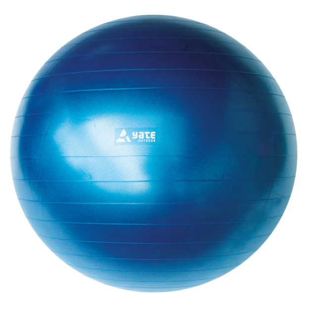 Obrázek YATE Gymball - 55 cm  modrý