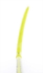 Obrázek PHASE F32 NB Jr. green Right