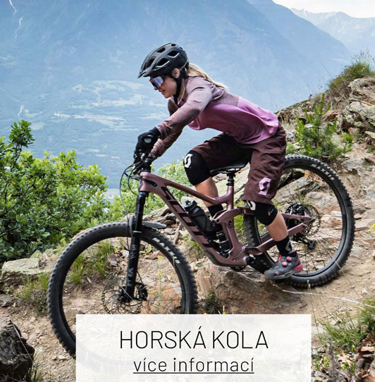 Picture for category Horská kola