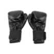 Obrázek Boxovací rukavice MASTER TG14