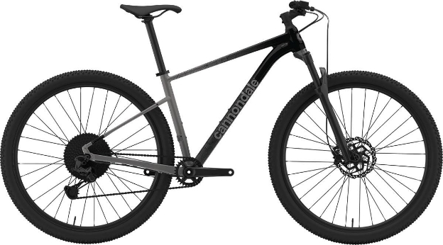 Obrázek Cannondale TRAIL 29 SL 4 GRY