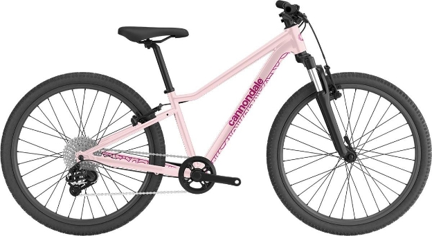 Obrázek Cannondale TRAIL 24"