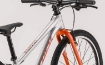 Obrázek Trek Wahoo 2022 24" stříbrná