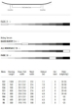 Obrázek snowboard NITRO RIPPER YOUTH 23/24